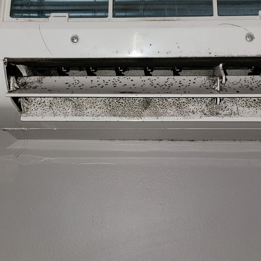 Importance of Ductless Maintenance